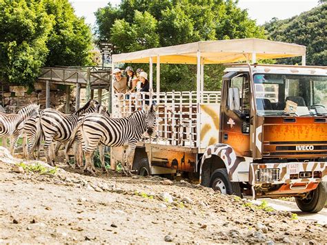 fuengirola selwo|Selwo Aventura: un parque único ¡muy cerca de Málaga!